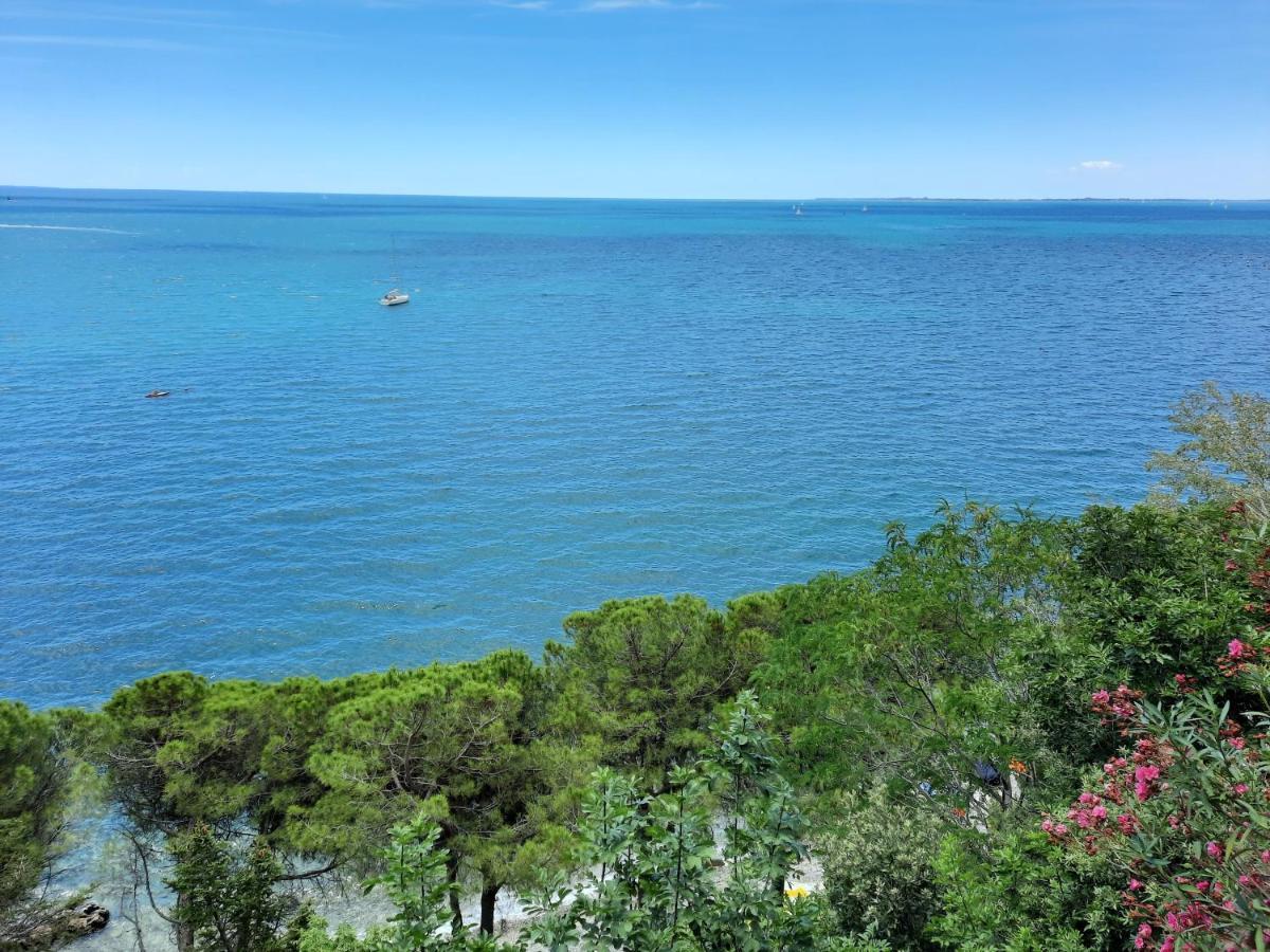 אאוריזינה Agriturismo Ai Tre Sentieri מראה חיצוני תמונה