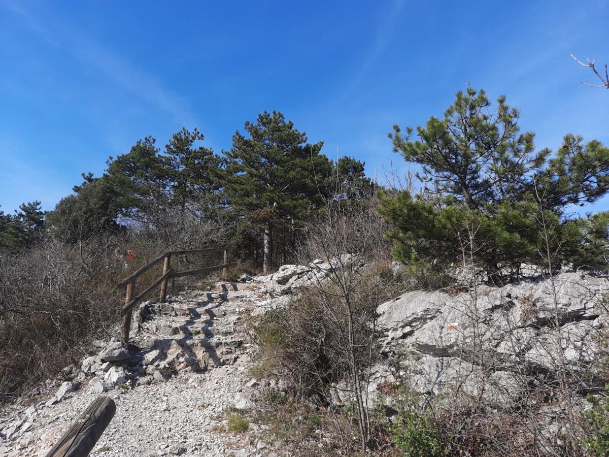אאוריזינה Agriturismo Ai Tre Sentieri מראה חיצוני תמונה
